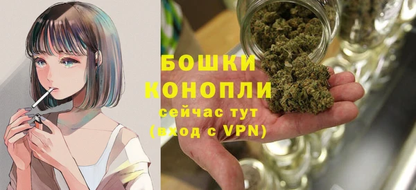 2c-b Богородск