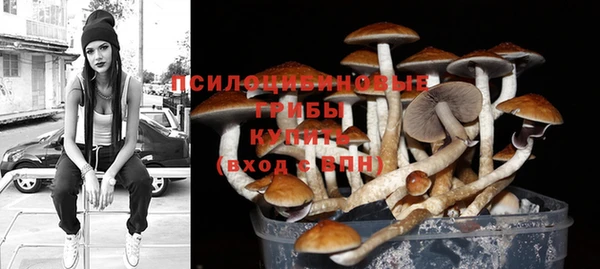 не бодяженный Богородицк
