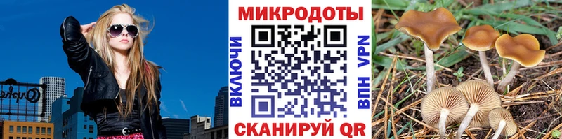 Галлюциногенные грибы мухоморы Нижний Новгород